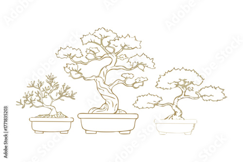 Serene Bonsai Collection: An elegant illustration showcases a collection of meticulously crafted bonsai trees, each poised in its unique container, presenting the artistry of horticultural precision.