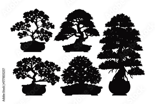 Tranquil Bonsai Silhouette Collection: A serene collection of silhouette bonsai trees showcasing the art of miniature landscaping, embodying stillness and natural harmony.
