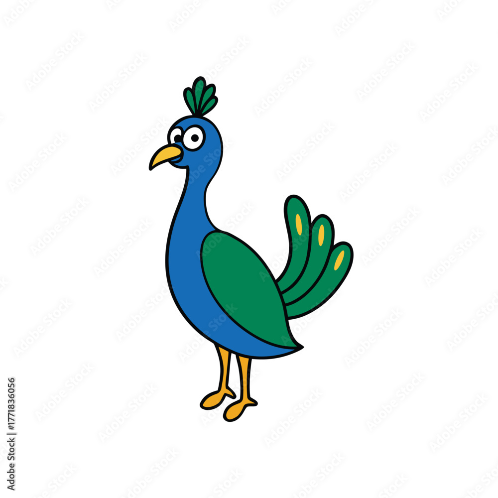 Fototapeta premium Proud Peacock Colorful Bird Vector On White Background