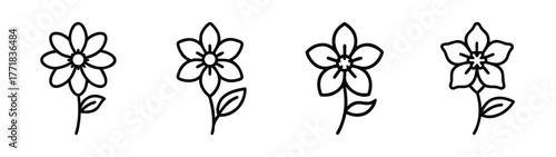 Four delicate line art drawings of small wildflowers with leaves and stems
