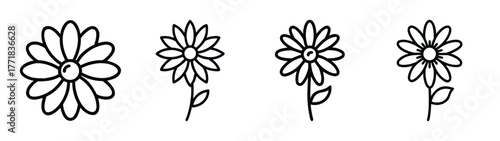 Simple daisy flower line art collection four varieties botanical art outline drawings