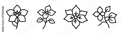 Four delicate line art floral drawings featuring bougainvillea blossoms and leaves