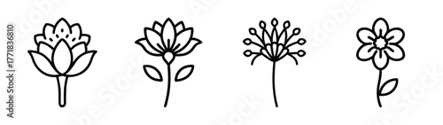 Delicate floral line art collection featuring allium lotus and daisy styles