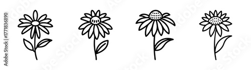 Four hand drawn coneflower echinacea flower outlines black and white line art