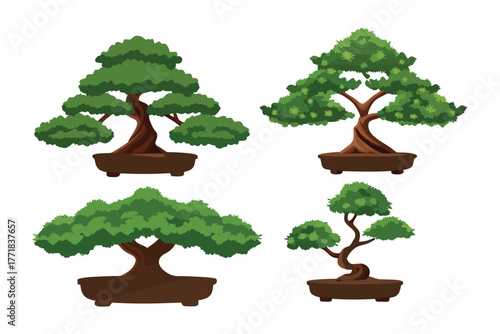 Bonsai Trees Illustration: A set of four different bonsai trees, showcasing their unique shapes and meticulously trimmed foliage, each planted in its own elegant ceramic pot.