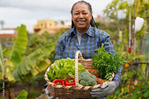 Happy african senior woman harvesting fresh vegetables at house garden - Elderly person and garden concept