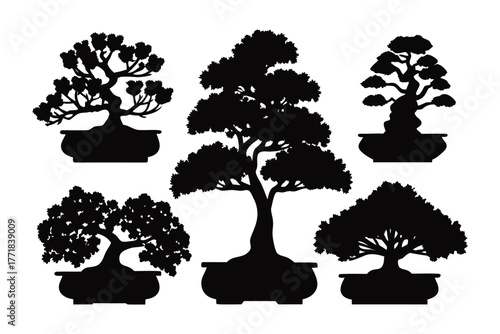 Serene Silhouette: A collection of meticulously crafted bonsai trees, each a miniature masterpiece of nature's artistry, silhouetted against a plain backdrop.
