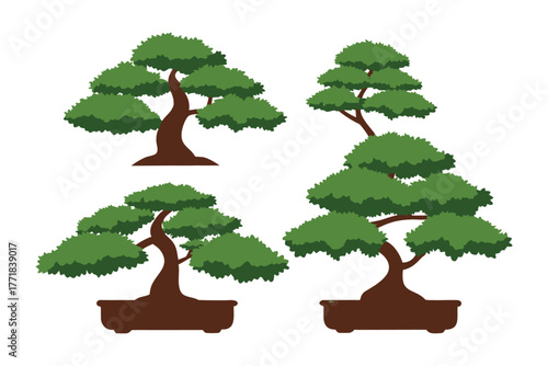 Bonsai Artistry: A collection of meticulously crafted bonsai trees, each a miniature masterpiece of nature, showcasing the art of cultivation and tranquility.