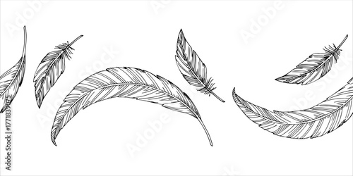 Seamless border of feathers. Vector ink styled handmade illustration. For packaging design, cards, cover, prints, product labels and fabric.