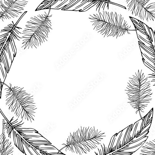 Square frame of feathers and fluff. Vector ink styled handmade illustration. For packaging design, cards, cover, prints, product labels and fabric.