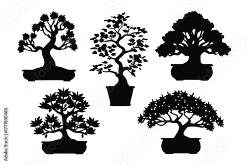 Bonsai Silhouettes: Five different bonsai trees showcasing the art of miniature landscaping, their elegant forms silhouetted against a plain background. Capturing the artistry of each form.