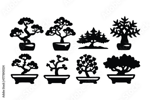 Bonsai Silhouette Collection: A collection of exquisite bonsai trees, each one a miniature masterpiece of nature's artistry and a testament to the patient art of cultivation.