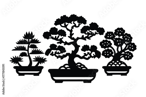 Zen Garden Serenity: Three meticulously crafted bonsai trees, each a miniature masterpiece of nature, stand in serene contemplation, embodying the art of patience and the beauty of minimalism.