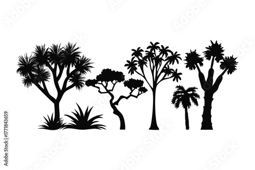 Silhouette Serenade: A striking display of diverse tree silhouettes stands gracefully against the open air, a tribute to nature's artistry.