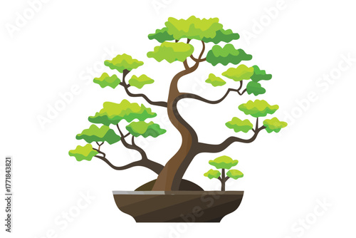 Bonsai Tree: Witness the miniature majesty of a Bonsai tree. This beautifully sculpted plant showcases the patience and artistry of the traditional Japanese practice.