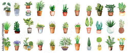 House plants home decor vector illustration set, potted green plants