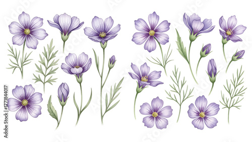Watercolor purple flower clipart for graphic resources
