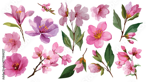 Vibrant Pink Flowers and Leaves Collection Vector Illustration