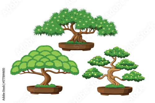 Bonsai Trio: A collection of meticulously crafted bonsai trees, each showcasing unique forms and artistic design, embodying the serene beauty of miniature landscapes.