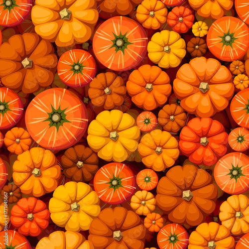 Autumn seamless pattern with orange pumpkins. Pumpkins top view. Vector fall print