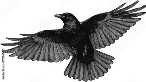 Elegant Black Bird with Black Wings in Monochrome