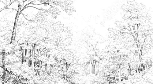Open canopy forest background, detailed hand-drawn woodland scene, vintage nature ink illustration, black and white line art vector graphic.