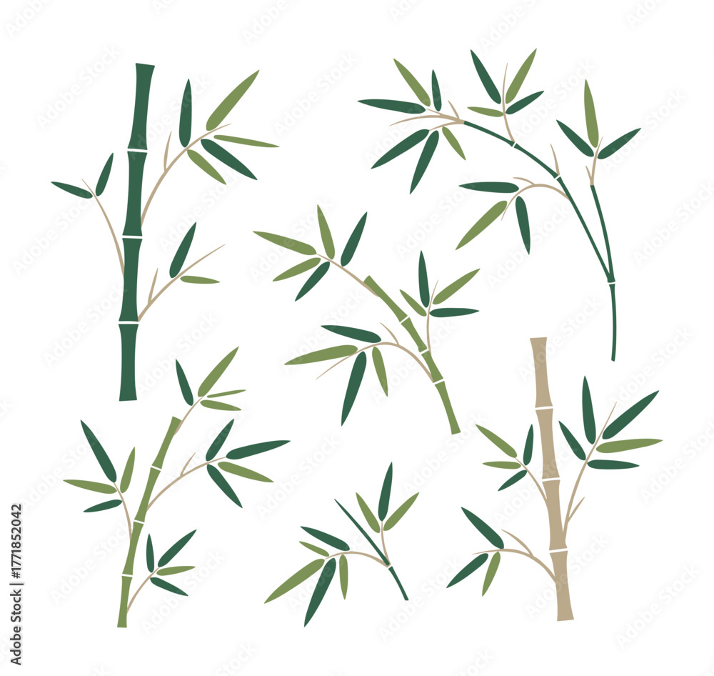 Fototapeta premium Bamboo branches with green leaves illustration design set