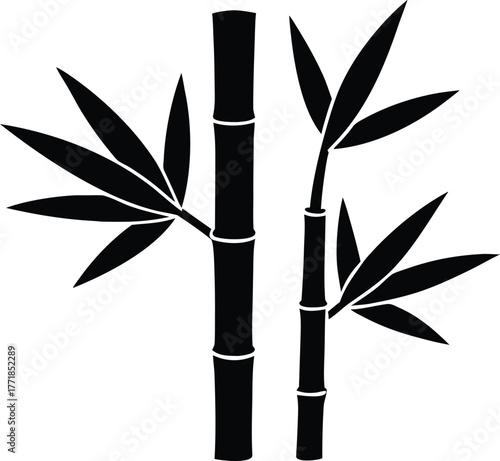 bamboo stalk silhouette on white background