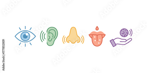 Five human senses vector icons set over white background