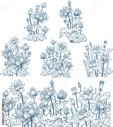 Set of vector floral compositions with lotus flowers, outline drawing