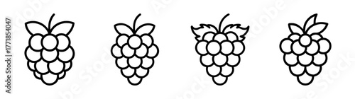 Hand-drawn arctic raspberry and grape cluster line art icons for delicious design concepts