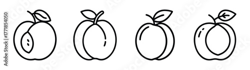 Simple line art of four apricots with leaves and stems for food and nature designs
