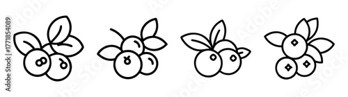 Delicate hand drawn bilberry branches with leaves a minimalist sketch of fresh berries