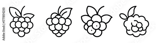 Line art cloudberry fruit icons with leaves for design and decoration purposes