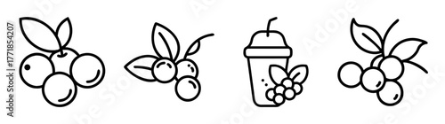 Açaí berry icons collection featuring fruit sprigs and smoothie cup line art graphics