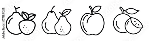Simple outline drawings of fresh fruits apple pear and citrus for educational or decorative purposes