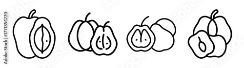 Ackee fruit hand-drawn sketch set tropical food botanical art organic produce line art