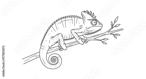 A detailed line drawing of a chameleon perched on a branch against a white background.