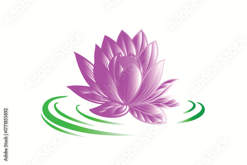 pink lotus flower