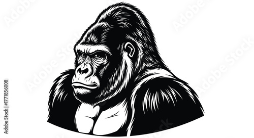 A detailed illustration depicts a powerful silverback gorilla's head in a profile view.