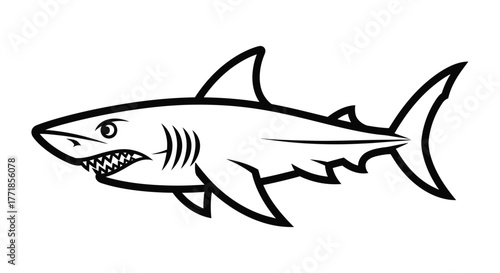An illustration of a predatory shark with sharp teeth and a menacing expression.
