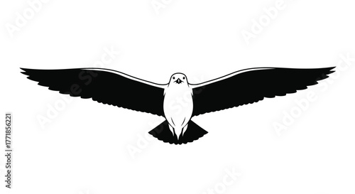 A bird with outstretched wings flies forward against a white background.