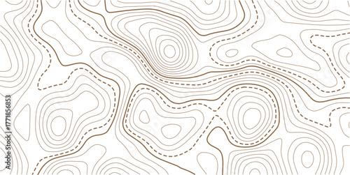 Topographic gold luxury map background. Geographic abstract pattern. The topo contour or wallpaper. Mountain trail terrain or path.Topographic background and texture, monochrome image. 3D waves