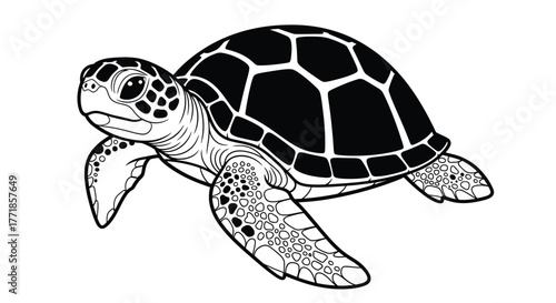 A black and white line drawing of a sea turtle.