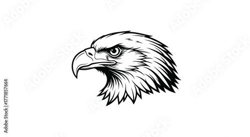 The majestic head of an eagle is depicted in a detailed black and white illustration.