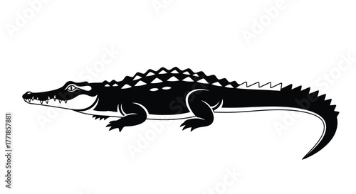 A black silhouette of a crocodile is shown against a white background.