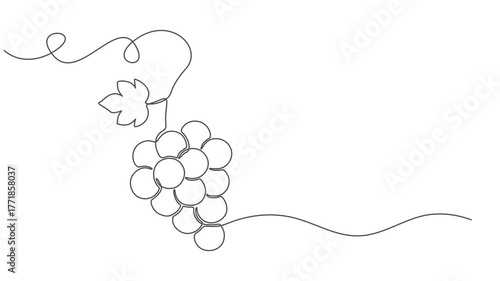 Self drawing line animation healthy organic grapes Fresh tropical fruitage continuous one single line drawn concept video, Fresh tropical fruitage concept for fruit orchard garden icon. Full length on