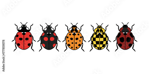 Ladybug variations flat vector icons on white background