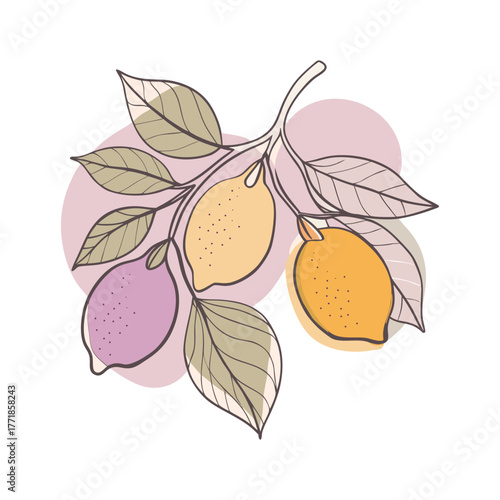 Stylized Lemon Branch Vector with Colored Shapes Modern Fruit Design Botanical Illustration Citrus Plant Artwork Minimalist Nature Graphic