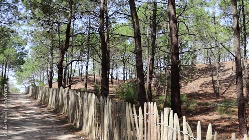 SENDERO LACANAU HASTA LA PLAYA. FRANCIA. EUROPA.